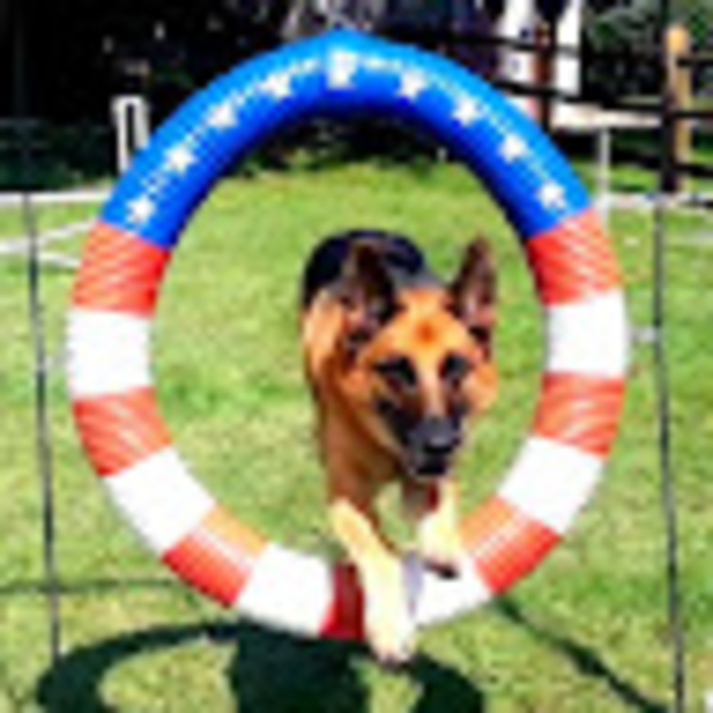 Meet your Posher, Jessie